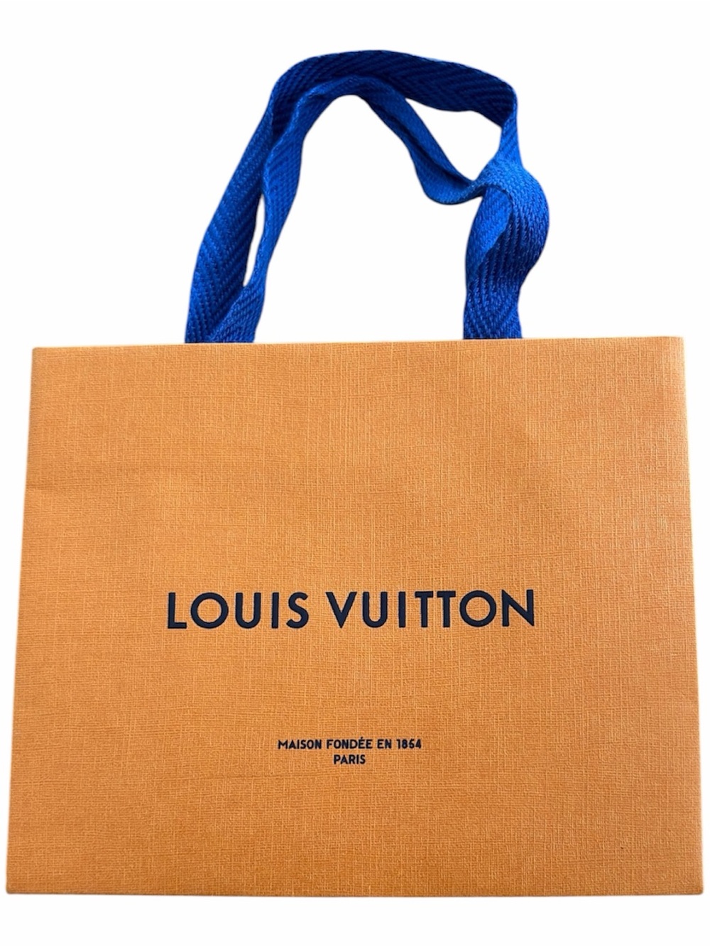 Louis Vuitton shopping bag